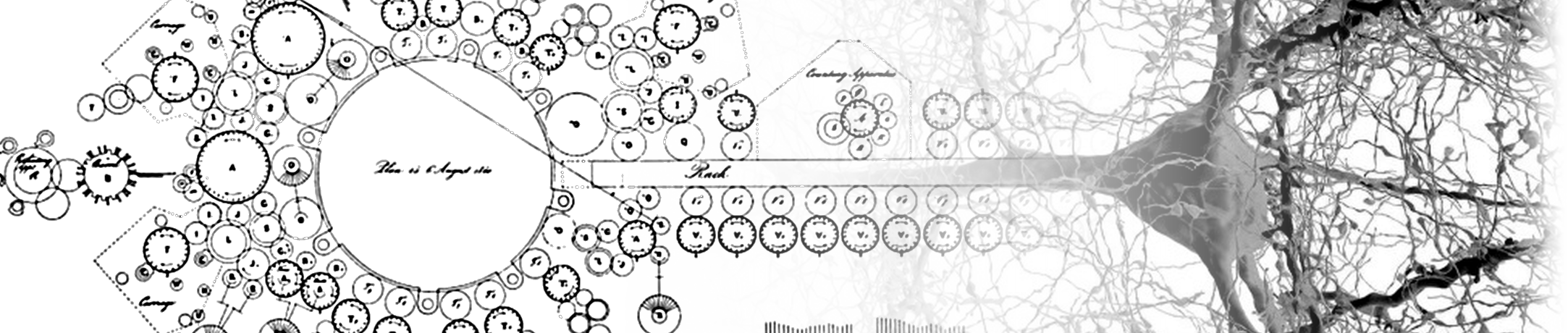 A merged illustration of Charles Babbage's mechanical calculating engine and a biological neuron, symbolizing the link between computation and cognition