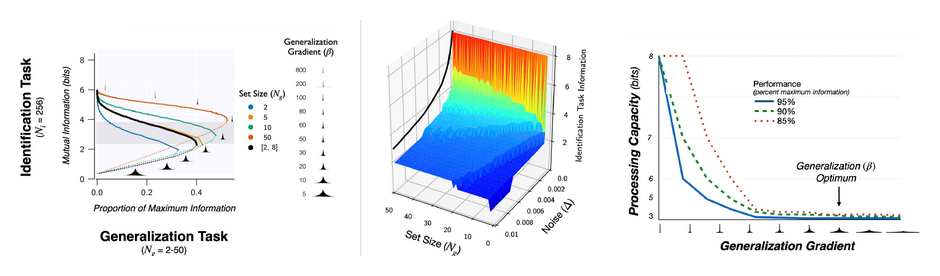 Illustrative figure for The origins of cognitive capacity constraints: The curse of  generalization